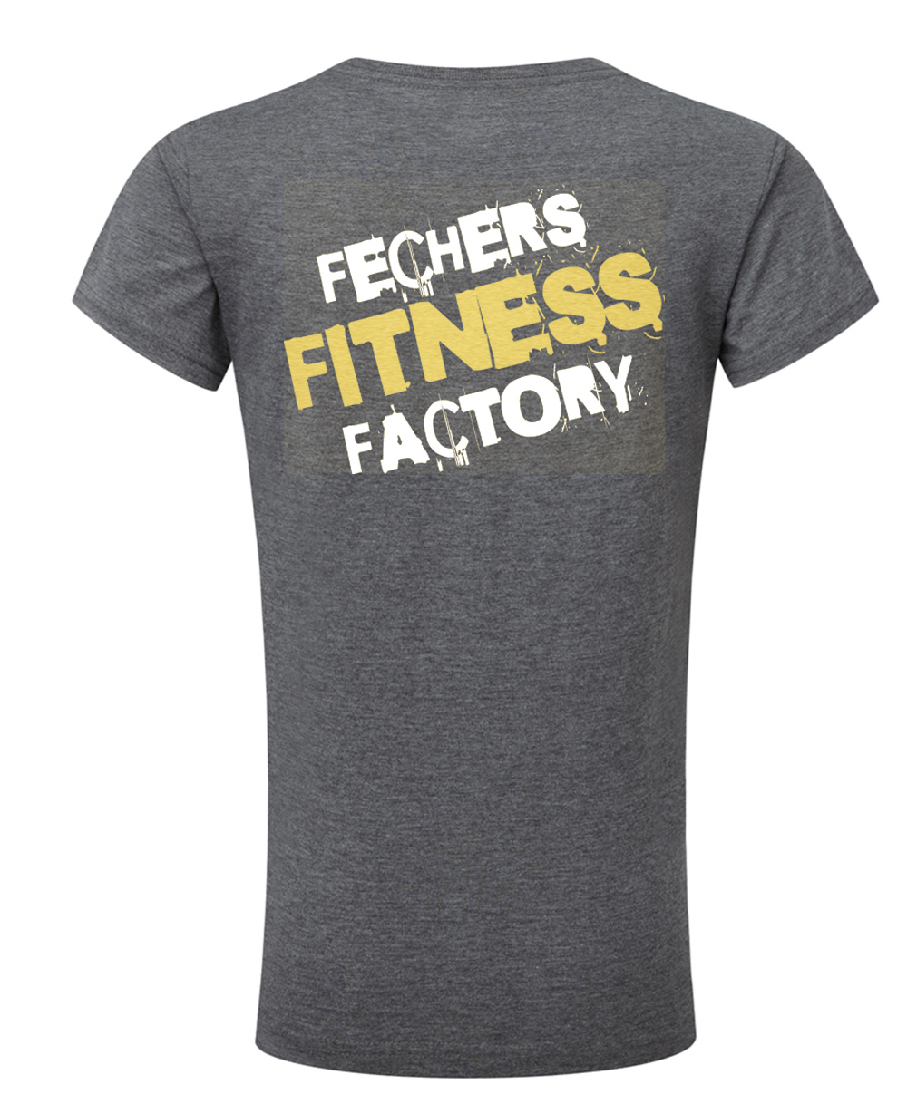 grau-gold-hinten Fechers Fitness Factory T-Shirt V Neck Herren
